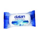SAPUN SOLID 100G