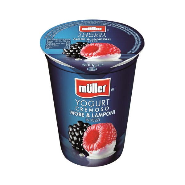 MULLER IAURT FRUCTE 500G