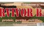 BATON SURVIVOR BAR