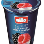 MULLER IAURT MURE-ZMEURA 500G