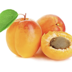 CAISE 500G